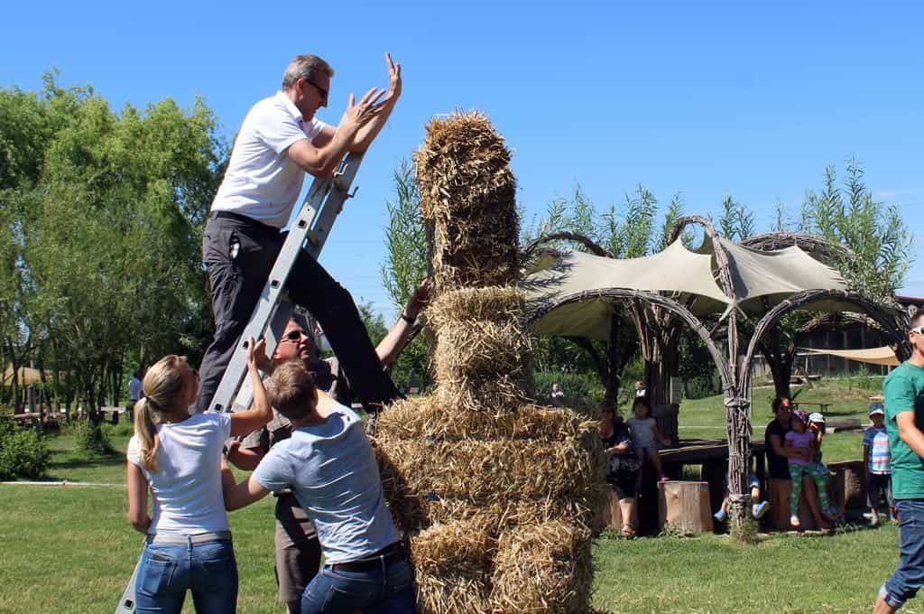 Create something great together as a team at the b-ceed Farm Olympics