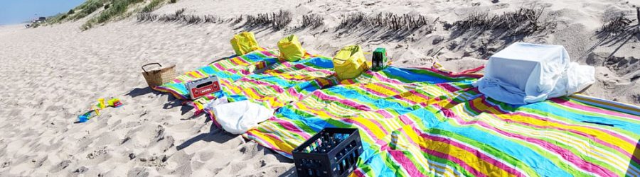 außergewöhnliche-incentive-reise-deutschland-sylt-bceed Außergewöhnliche Incentive Reise nach Sylt mit b-ceed