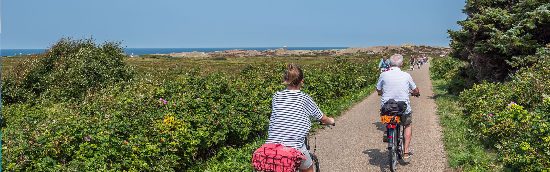 Cycling tour on the incentive trip Sylt | b-ceed Eventagentur