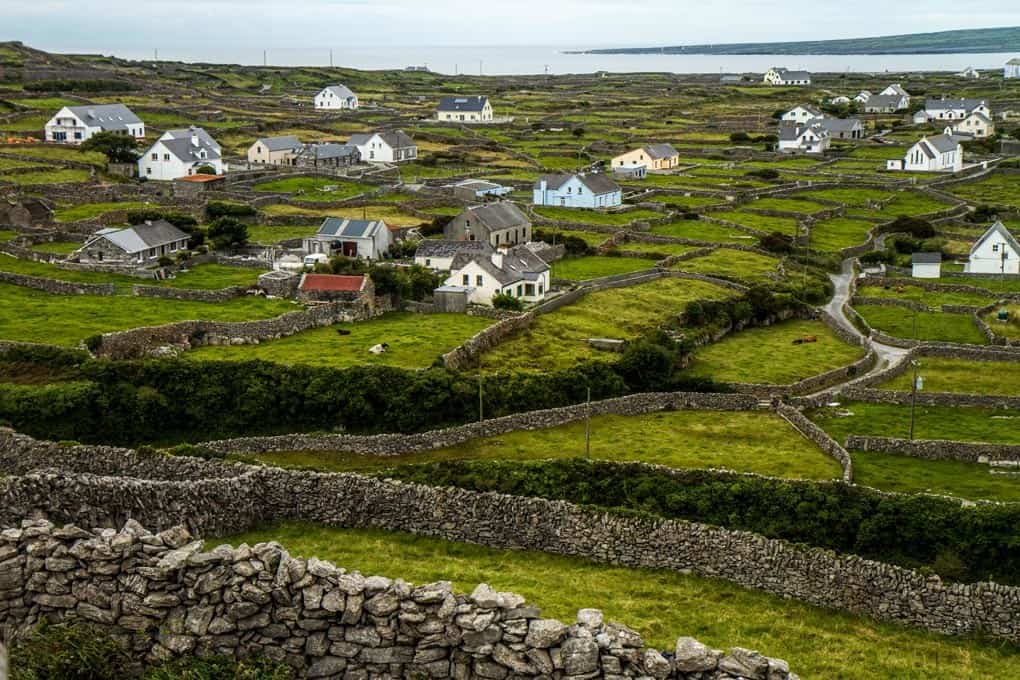 Corporate tour through the green landscapes of Ireland