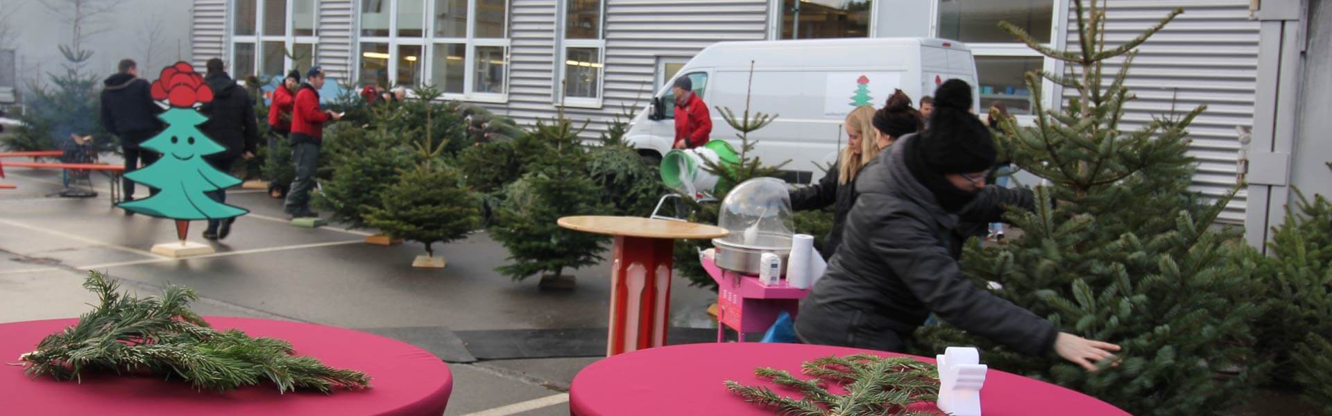 Christmas party idea fir tree cutting b-ceed events