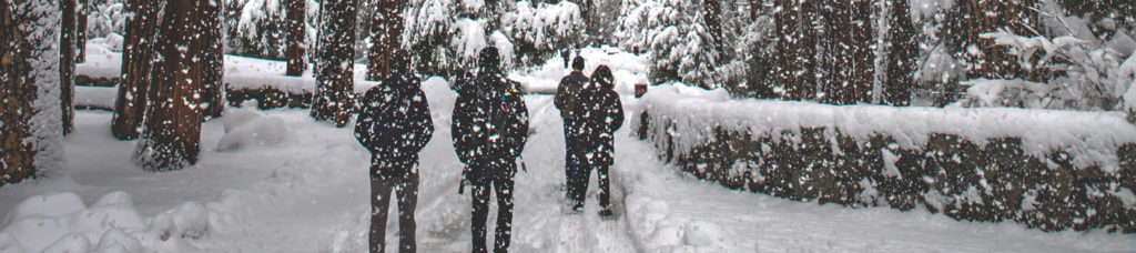 Snowshoe hike and guide at the mulled wine hike for the Christmas party with the team | b-ceed: events