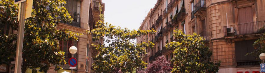 barcelona-spaziergang-durch-altstadt-bceed Incentive Reise Barcelona Spaziergang durch die Altstadt mit b-ceed
