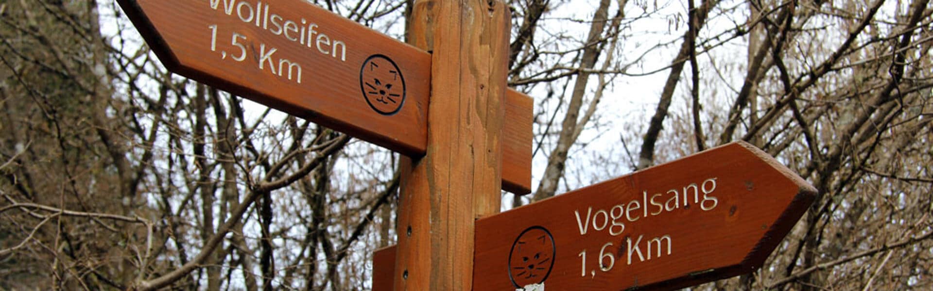 Betriebsausflug Idee Rangertour durch die Eifel b-ceed