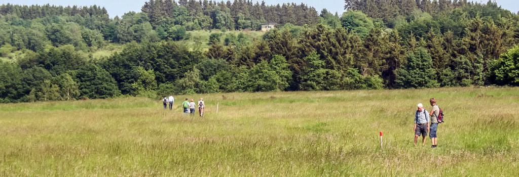 Excursion with the company - ranger tour through the Eifel with b-ceed: events!