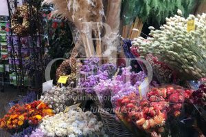 Blumenmarkt als Highlight der City Tour durch Amsterdam