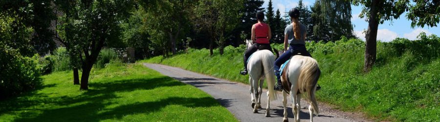 reiten-eifel-betriebsausflug-b-ceed-events reiten-eifel-betriebsausflug-b-ceed-events