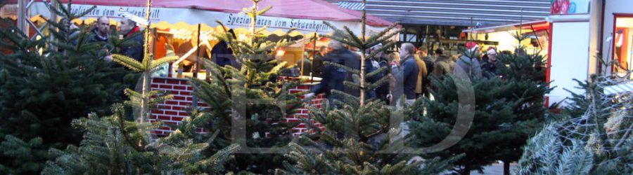 mobiler-weihnachtsmarkt-mit-tannenbaum-schonung-b-ceed mobiler weihnachtsmarkt und tannenbaumschlagen für firmen