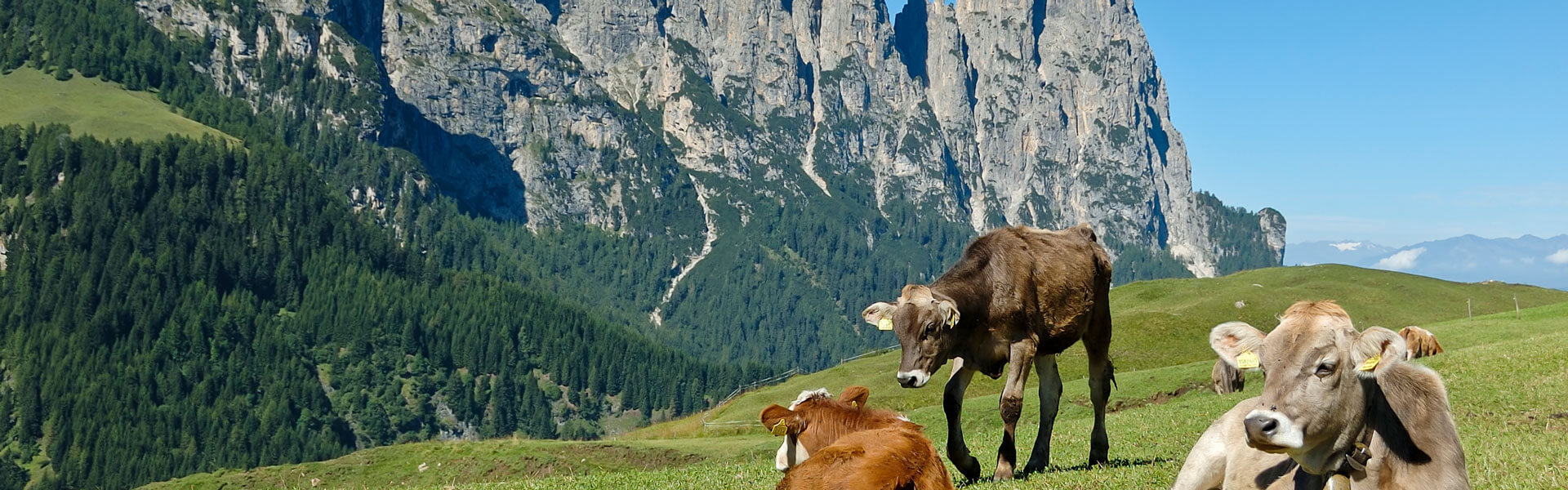 A hike through the Alps holds many scenic highlights.