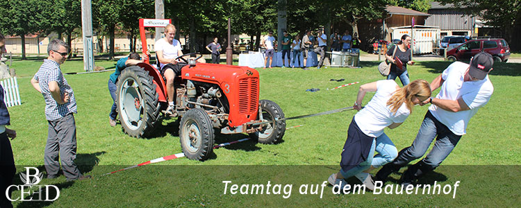 Teambuilding in Stuttgart on the farm -b-ceed