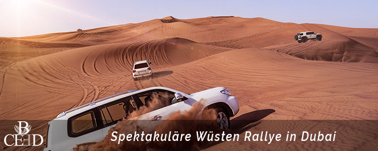 Zu den beliebtesten Destinationen für die Incentive Reise gehört Dubai. Eine Wüsten Rallye mit Jeeps durch die Wüste mit b-ceed