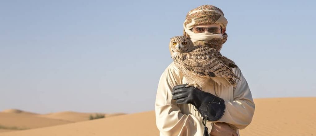 Incentive trip Dubai with falcon show in the desert for sundowner, b-ceed