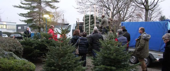 fir-tree-slashing-event-mobile-christmas-market-christmas-celebration-b-ceed